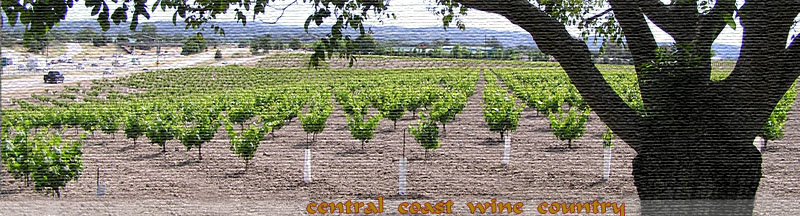 vineyard